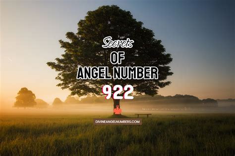 angel number 922|922 Angel Number Overview: Love, Career, Spirituality & More